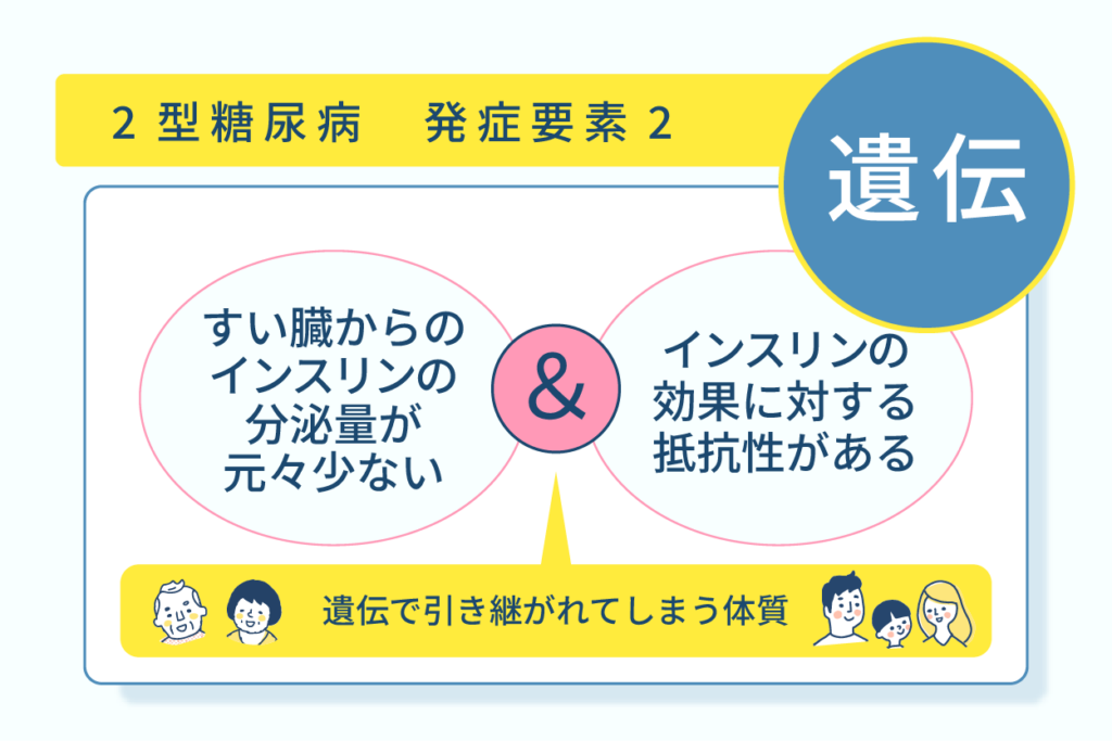 ２型糖尿病の発症要素２遺伝